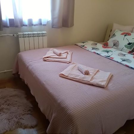 Apartman Nina Vojvode Stepe Vozdovac Voždivac Dış mekan fotoğraf