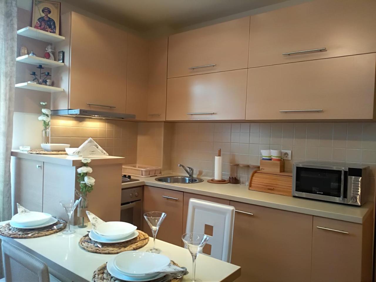 Apartman Nina Vojvode Stepe Vozdovac Voždivac Dış mekan fotoğraf